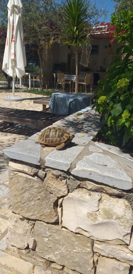 Guest House Solive Himare Exterior foto